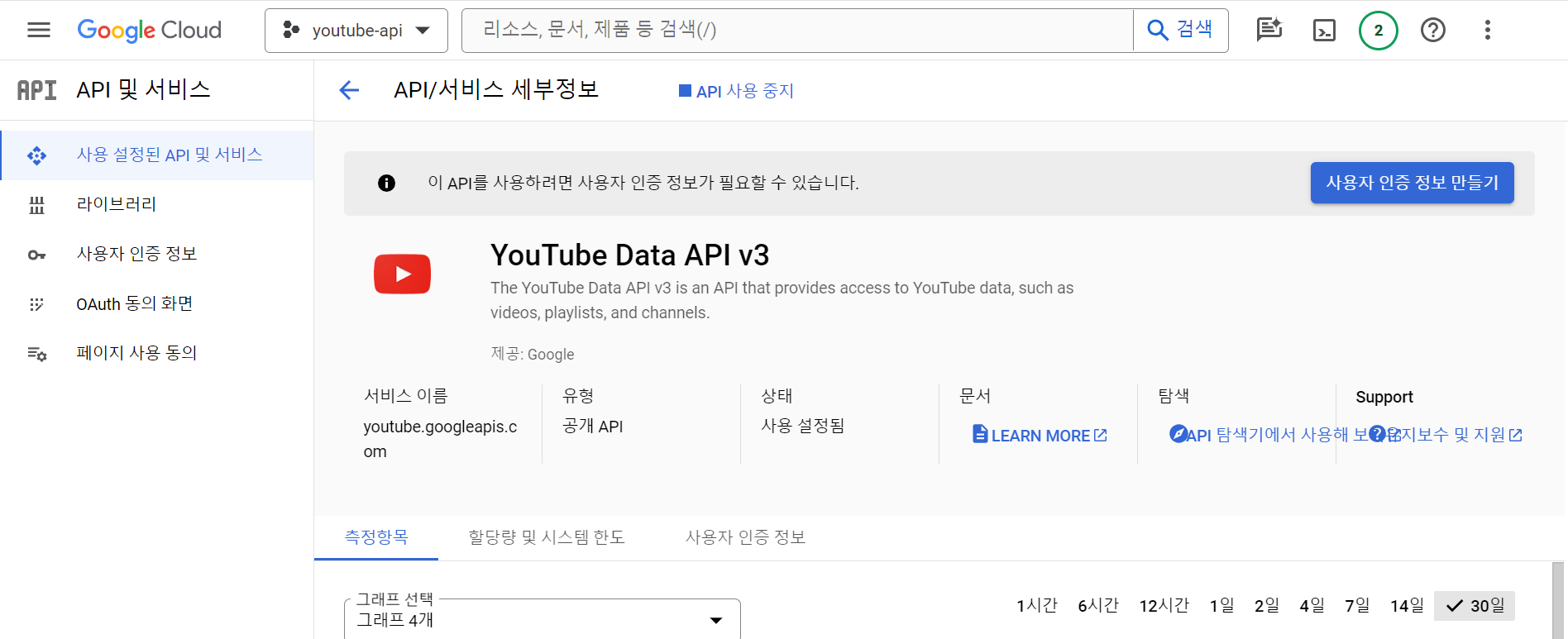 YouTube Data API 메인 대시보드 화면