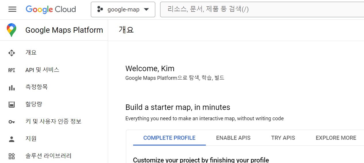 Google Maps Platform 메인 화면