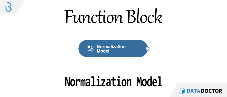 Br) 함수 블럭 - Normalization Model