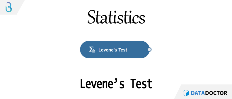 Br) 통계 - 등분산 검정(Levene's Test)
