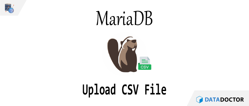 DB) MariaDB - csv 파일 업로드